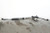 Nissan 350Z 06-08 Power Steering Rack & And Pinion 49001-EV10A, C001, OEM, 2006, used OEM rack and pinion