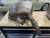 Porsche Carrera 99611113154 Right/Passenger Used OEM Exhaust Muffler