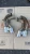 2008-2010 Porsche Cayenne Rear Used OEM Exhaust Muffler