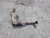 2006-2008 Porsche Cayman Left/Driver Used OEM Exhaust Muffler