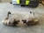 2005-2008 Porsche Cayman 3.4L Left & Right Used OEM Exhaust Muffler