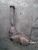 2005-2008 Porsche Boxster 3.2L/3.4L Left/Driver Used OEM Exhaust Muffler