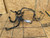 1992 JDM Nissan Skyline Coupe R32 GTST ER32 HCR32 Rack Pinion Pipes & Hoses Oem used OEM rack and pinion