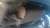 Toyota Matrix Used OEM Exhaust Muffler