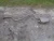 2020 Toyota Corolla Rear Used OEM Exhaust Muffler