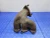 Volkswagen Passat 3.6L Right/Passenger Rear Used OEM Exhaust Muffler
