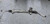 2010-2016 PORSCHE PANAMERA 970 HYBRID STEERING GEAR RACK AND PINION OEM used OEM rack and pinion