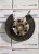 2004-2008 Acura TSX Rear Left/Driver Used OEM Steering Knuckle Spindle