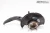 2021-2025 Acura TLX Front Left/Driver AWD Used OEM Steering Knuckle Spindle