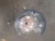 2023 Acura RDX Front Right/Passenger Used OEM Steering Knuckle Spindle