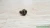 Acura Rear Used OEM Steering Knuckle Spindle
