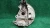 2017-2019 Audi A4 8W0407253F 8W0407625A Front Left/Driver Used OEM Steering Knuckle Spindle