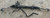 08-12 AUDI B8 8T A4 S4 A5 S5 AWD POWER STEERING RACK & PINION 8T1422066B OEM used OEM rack and pinion