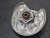 2018-2024 Audi SQ5 Rear Left/Driver AWD Used OEM Steering Knuckle Spindle