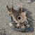 2007-2010 Audi Q7 7L8505436 Rear Right/Passenger With Hub Used OEM Steering Knuckle Spindle