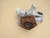 2018-2020 Audi A4 8W0505459D Rear Left/Driver AWD Used OEM Steering Knuckle Spindle