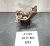 BMW M3 Front Left/Driver Used OEM Steering Knuckle Spindle