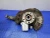 2012-2016 BMW 5 Series Front Right/Passenger xDrive Used OEM Steering Knuckle Spindle