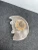 BMW 335i Front Right/Passenger Used OEM Steering Knuckle Spindle