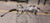 2015 Chevy Suburban 1500 Electric Power Steering Gear Rack And Pinion OEM used OEM rack and pinion