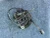 BMW 530i Rear Right/Passenger Used OEM Steering Knuckle Spindle