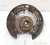 BMW M5 Rear Right/Passenger Used OEM Steering Knuckle Spindle