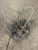 2010 BMW 528i 6783666 Rear Right/Passenger Used OEM Steering Knuckle Spindle