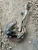 BMW 340i Front Left/Driver Used OEM Steering Knuckle Spindle