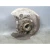 2019-2020 BMW 3 Series Rear Left/Driver Used OEM Steering Knuckle Spindle