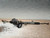 2013-2015 Honda Accord 2.4L Steering Gear Power Rack & Pinion OEM used OEM rack and pinion