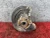 2012-2021 BMW 3 Series Front Left/Driver Used OEM Steering Knuckle Spindle