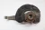 2013 BMW 750Li Front Right/Passenger Used OEM Steering Knuckle Spindle