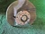 2005 BMW M3 Front Right/Passenger Used OEM Steering Knuckle Spindle
