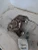 2015 BMW i3 Front Left/Driver Used OEM Steering Knuckle Spindle