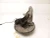 2008-2019 BMW X5 Rear Left/Driver Used OEM Steering Knuckle Spindle