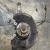 2009-2015 BMW 750i Front Right/Passenger With Hub Used OEM Steering Knuckle Spindle