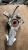 2001-2005 Buick Century 2106161 Front Right/Passenger Used OEM Steering Knuckle Spindle