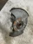 2025 Buick Enclave Front Left/Driver Used OEM Steering Knuckle Spindle