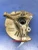 2020-2024 Cadillac XT6 Right/Passenger With Hub Used OEM Steering Knuckle Spindle