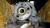 1992-1993 Cadillac Seville Front Right/Passenger Used OEM Steering Knuckle Spindle