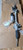 ️ 22 MILES 19-23 BMW X5 X6 X7 G05 G06 ELECTRIC POWER STEERING RACK PINION OEM used OEM rack and pinion assembly