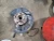 2019-2025 Cadillac XT4 1987589 Front Right/Passenger Used OEM Steering Knuckle Spindle