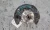 2021-2025 Chevrolet Trailblazer Front Left/Driver Used OEM Steering Knuckle Spindle