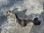 1965-1966 Chevrolet Impala Right/Passenger Used OEM Steering Knuckle Spindle
