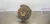 Chevrolet Silverado 3500 Front Right/Passenger 4WD Used OEM Steering Knuckle Spindle