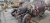 Chevrolet 1135812 Front Left/Driver Used OEM Steering Knuckle Spindle