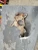 2003-2024 Chevrolet Express 2500 Front Left/Driver Used OEM Steering Knuckle Spindle