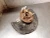 2012 Chevrolet Camaro 6323310 Front Right/Passenger Used OEM Steering Knuckle Spindle