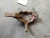 2015-2018 Chevrolet Express 19316540 1757293 Front Left/Driver Used OEM Steering Knuckle Spindle
