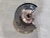 2011-2016 Chevrolet Cruze 2805400 Front Right/Passenger Used OEM Steering Knuckle Spindle
